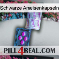 Black Ant Capsules 37